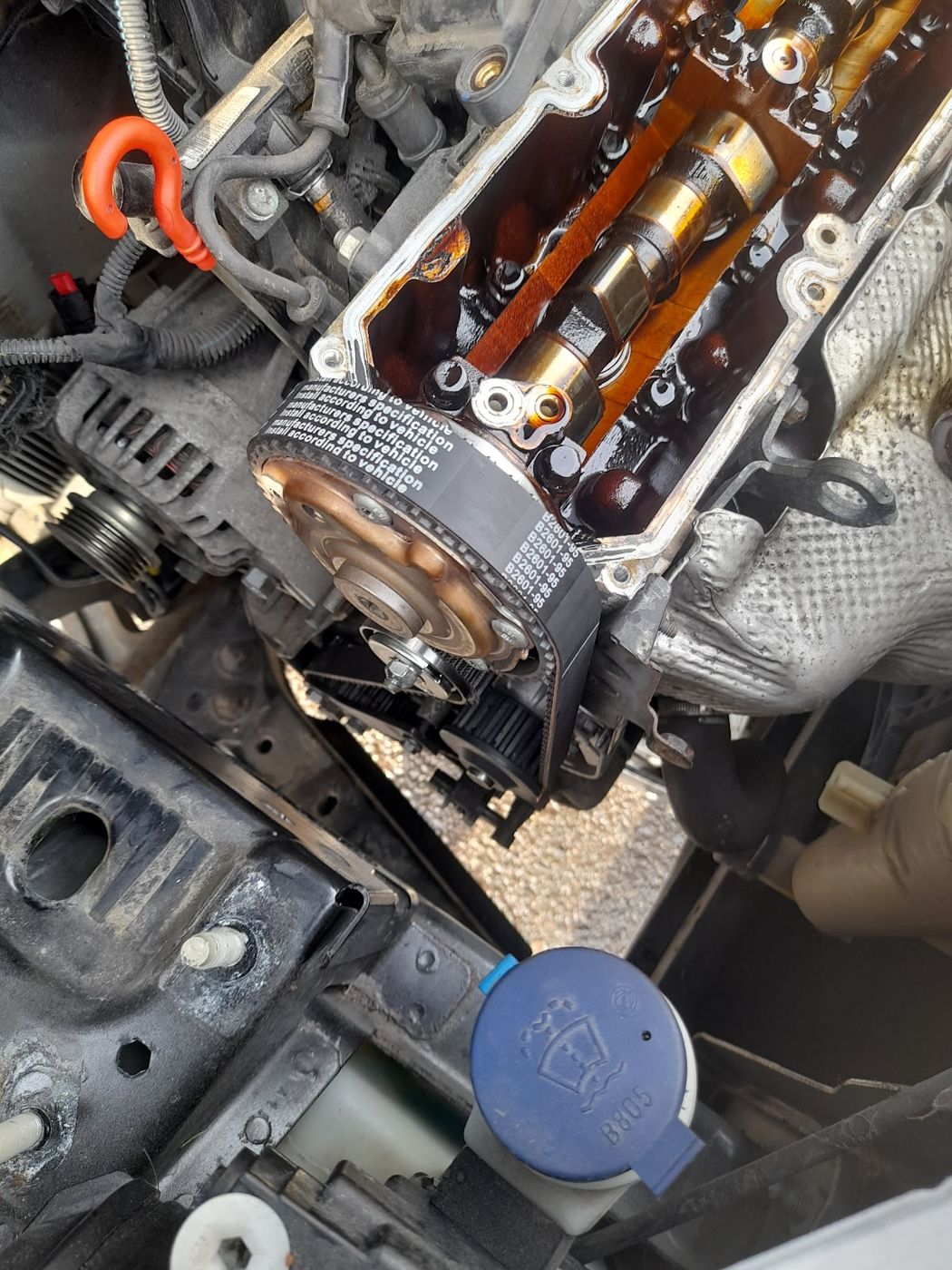 Timing and cam job
